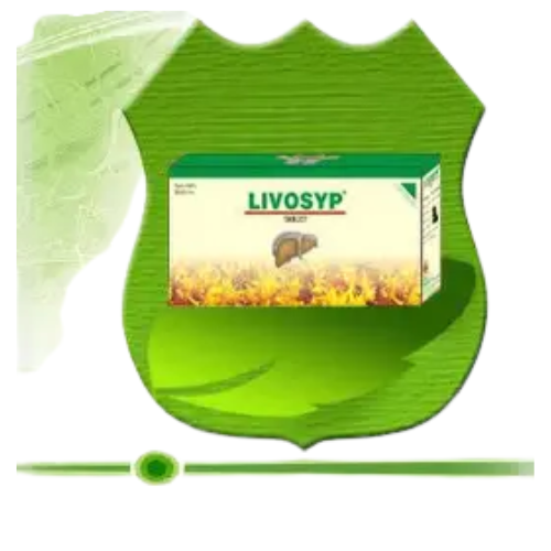 Shree Dhanwantri Herbals LIVOSYP DS 30 Cap