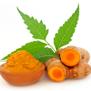 SINGLE HERBS